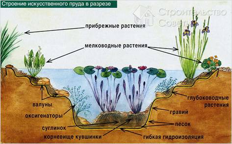 Экосистема
