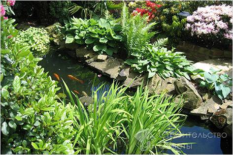 биология 6 класс - ГБОУ Школа №109