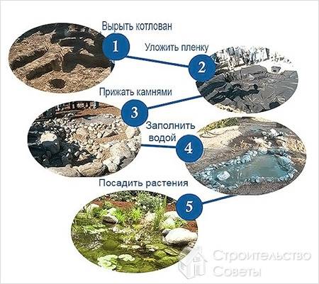 как облагородить пруд на даче фото #15
