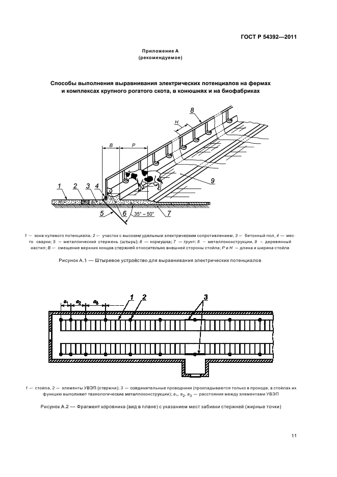 Страница 11