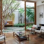 Деревья и цветы