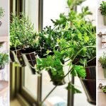 Цветы в ведрах