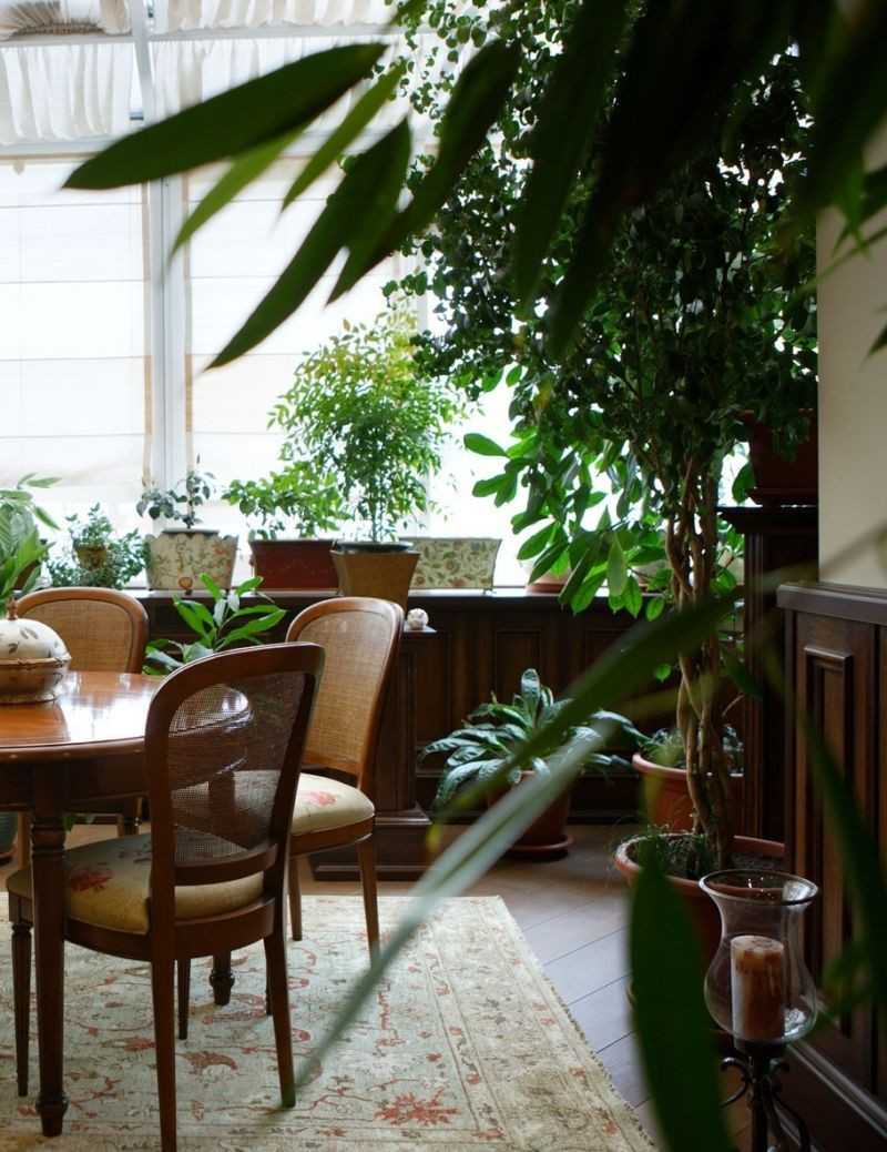 Зимний сад - лучшие идеи декора и варианты оформления зимнего сада