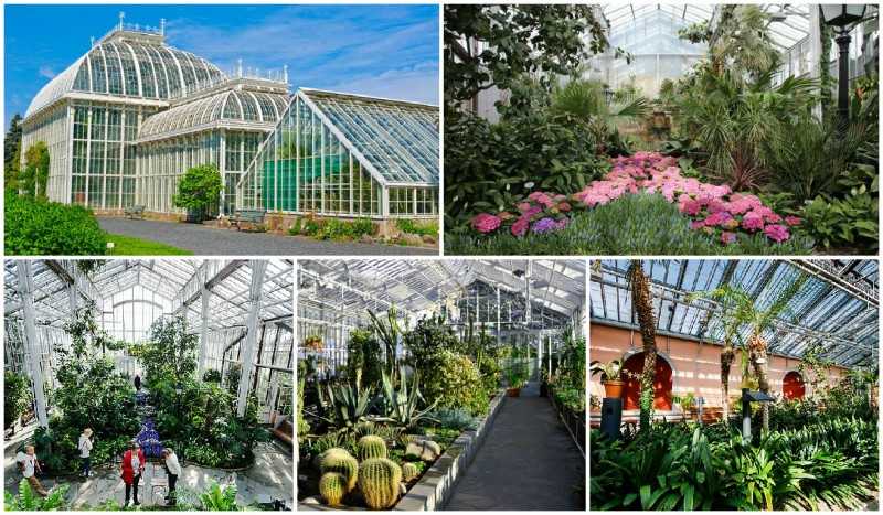 Зимний сад - лучшие идеи декора и варианты оформления зимнего сада