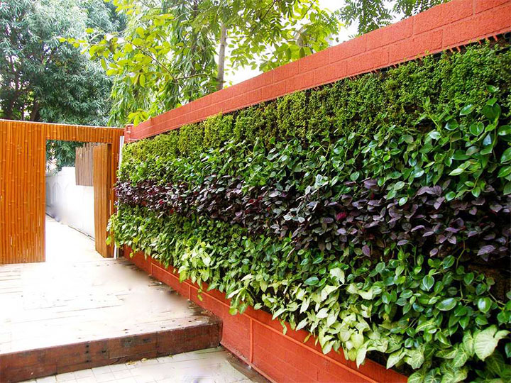 Живая изгородь с горизонтальным комбинированием растений