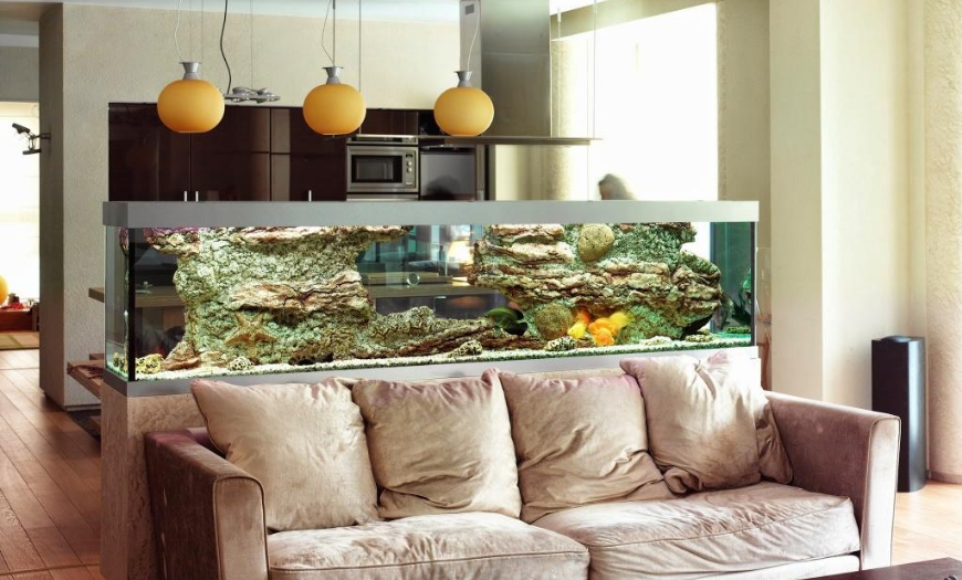Зонирование аквариумом