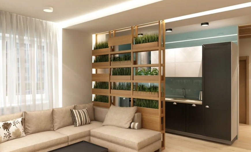 Зонирование цветами