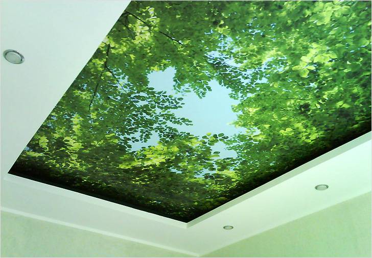 Как выбрать 3д обои для стен