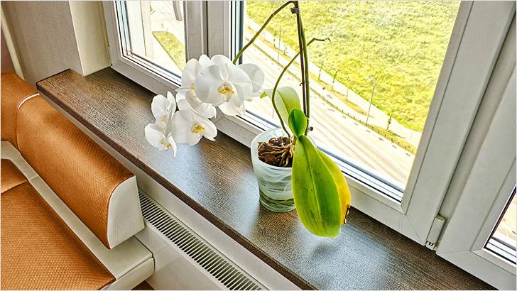 Подоконники ПВХ Moeller: обзор