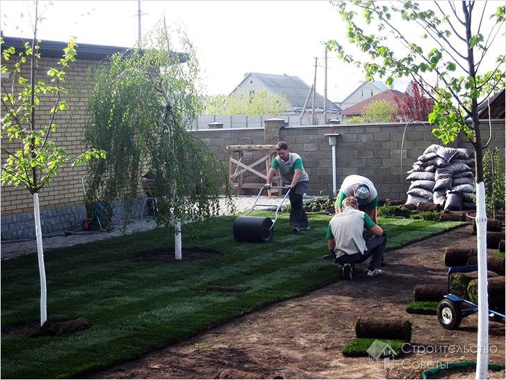 Укладка рулонного газона своими руками