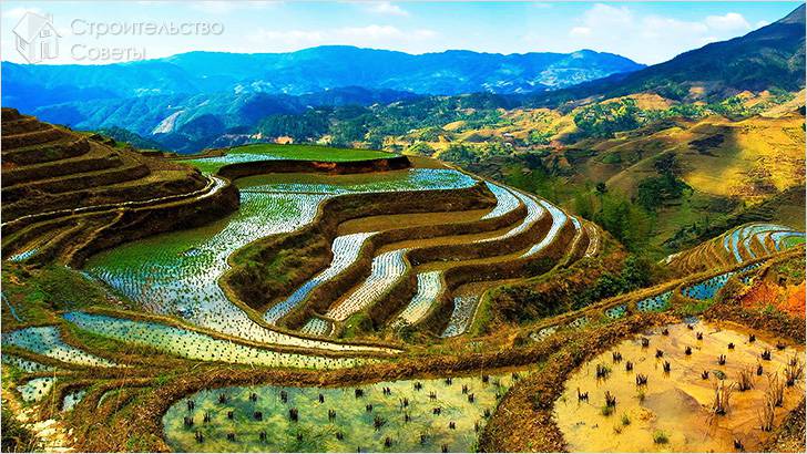Геопластика рисовых полей