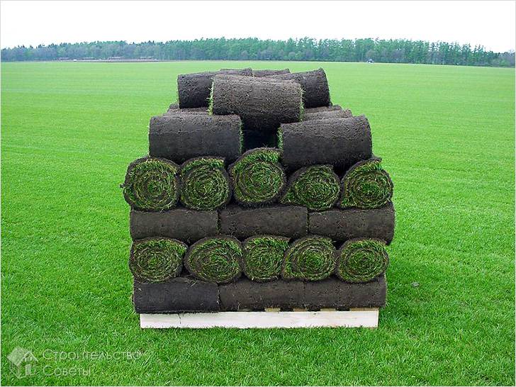 Хранение газона