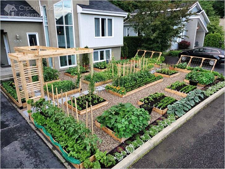 Организация сада и огорода