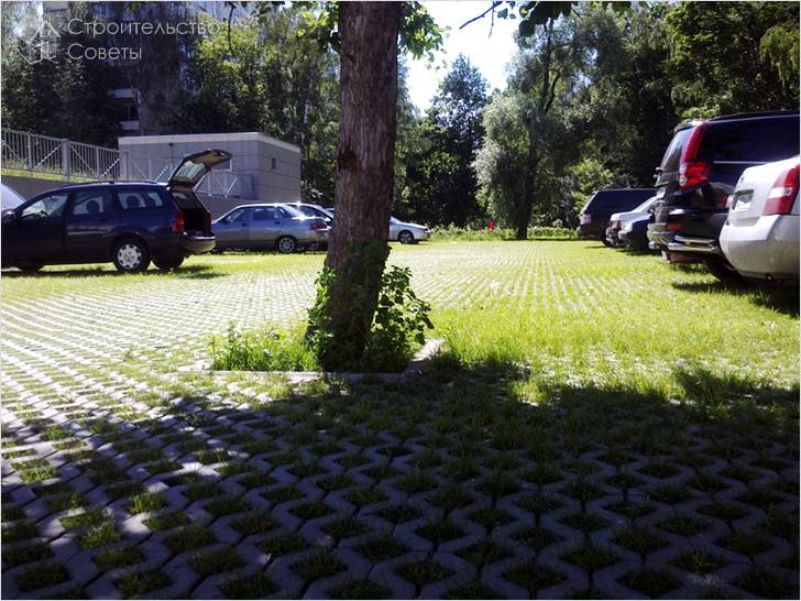 Разновидности