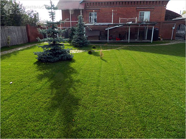 Укладка рулонного газона своими руками