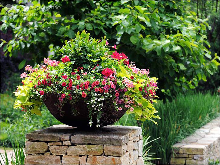 Советы дизайнеров