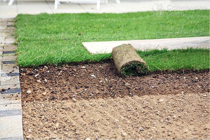 Укладка рулонного газона