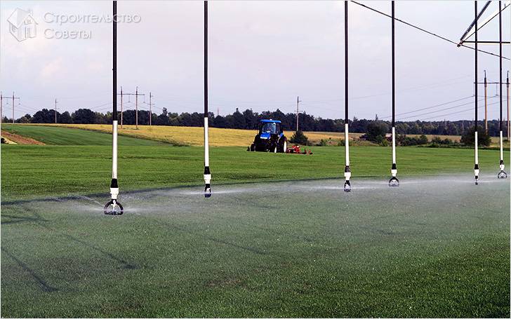 Выращивание