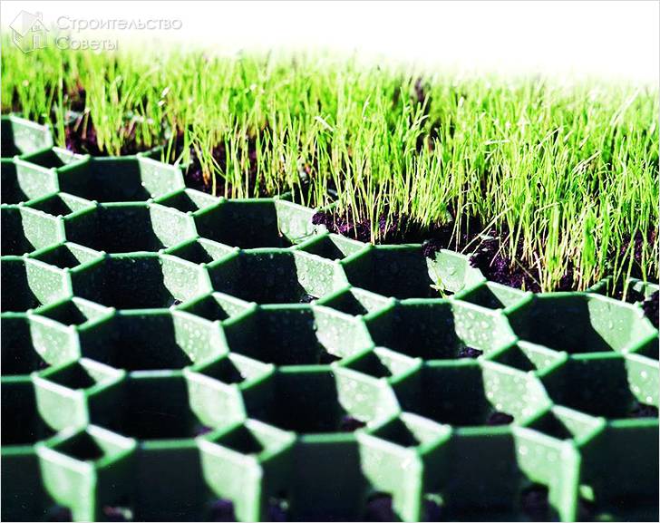 Засев травы