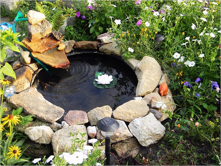 Декорирование пруда