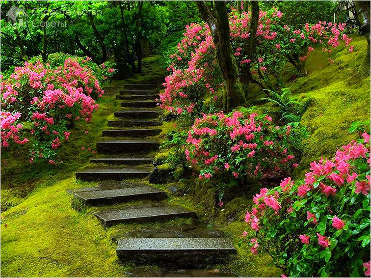 Особенности стационарной конструкции