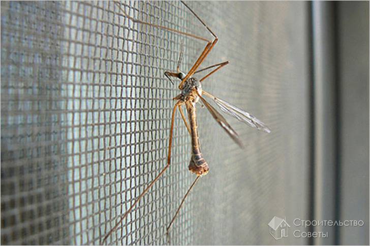 Проведение замера москитной сетки