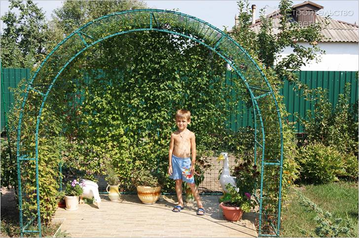 Как сделать садовую арку