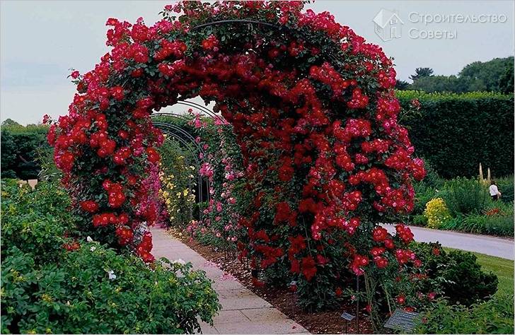 Как сделать садовую арку
