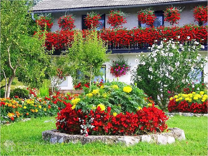 Цветники и клумбы своими руками