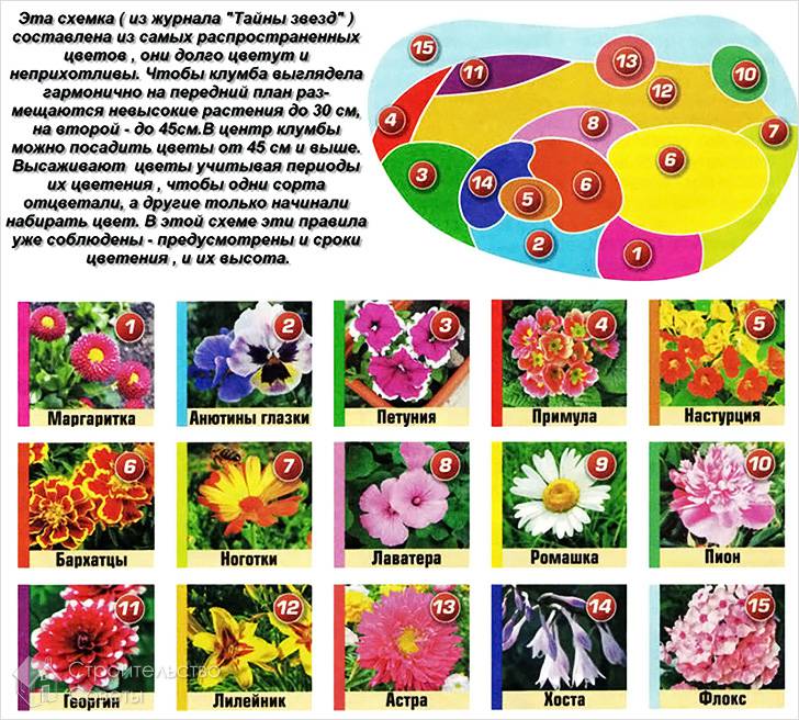 Цветники и клумбы своими руками
