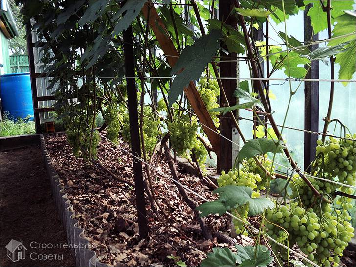 Двухплоскостная конструкция