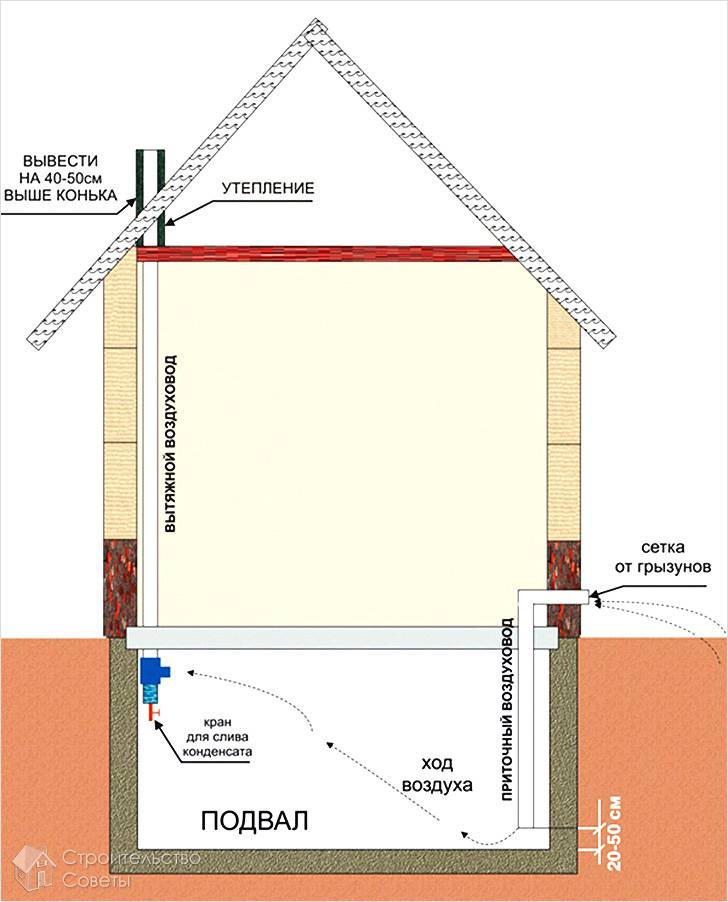 Естественная