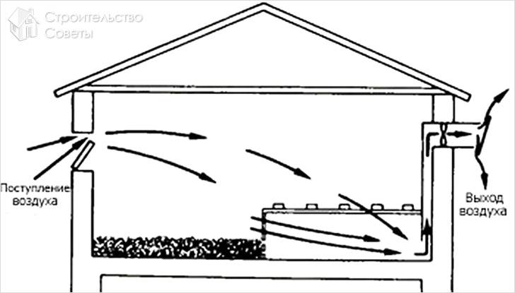 Естественная