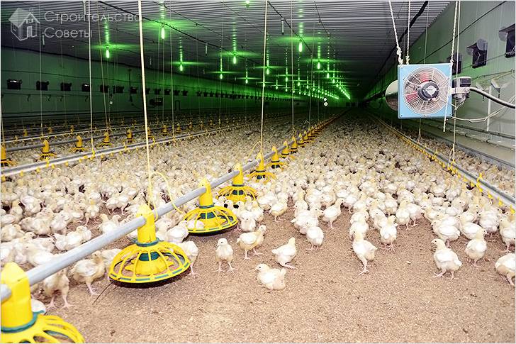 Механическая