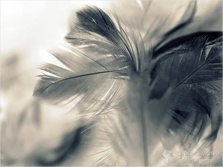 Наполнители для мягкой мебели