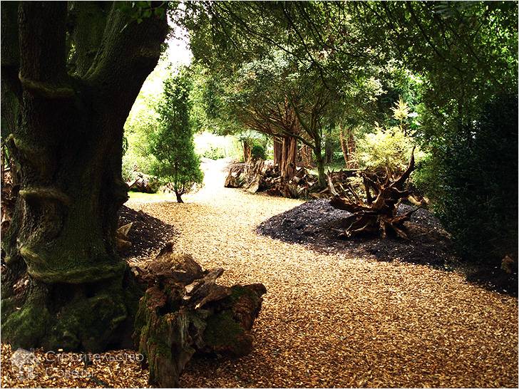 Рутарий своими руками