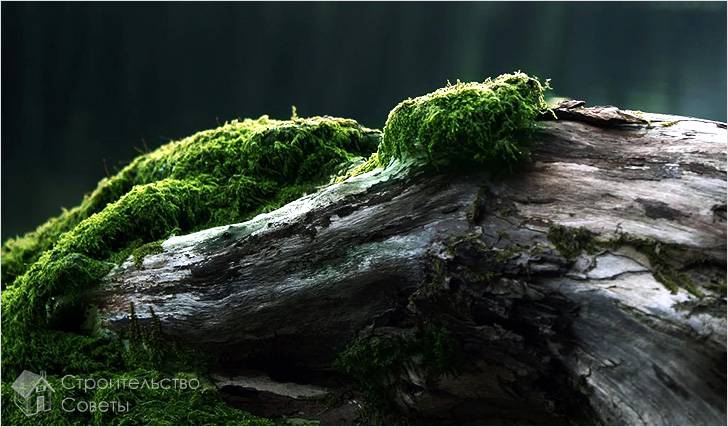 Рутарий своими руками