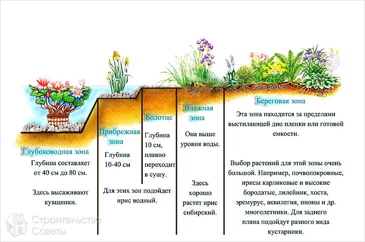 Схема оформления водоема для рыб