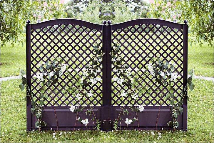 Как сделать шпалеру