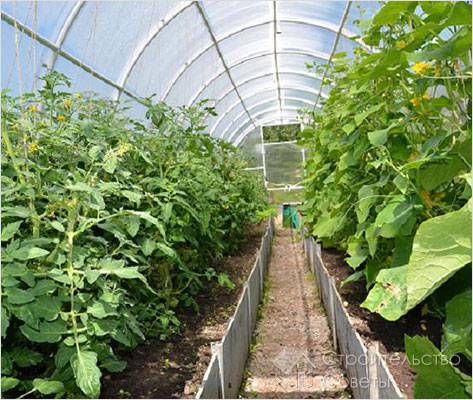 Выращивание овощных культур