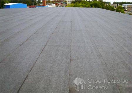 Популярные виды