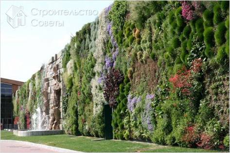 Сад вертикальный