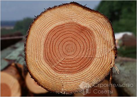 Древесина, как исходный материал