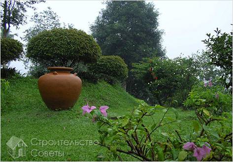 С насаждениями