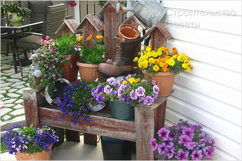 Как украсить участок