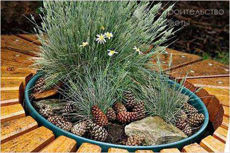 Как грамотно замаскировать люк на дачном участке