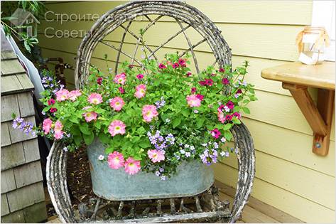 Клумба на стуле