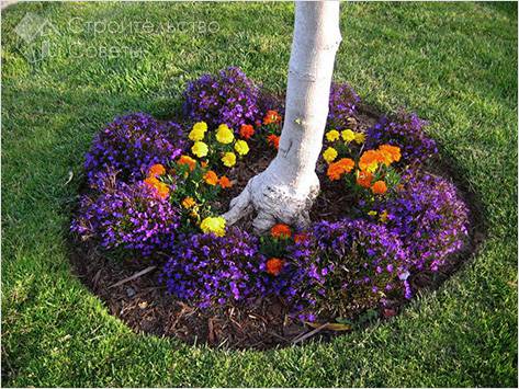 Клумба под деревом