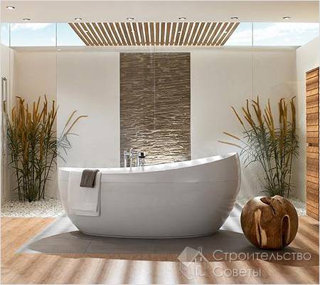 Основные виды