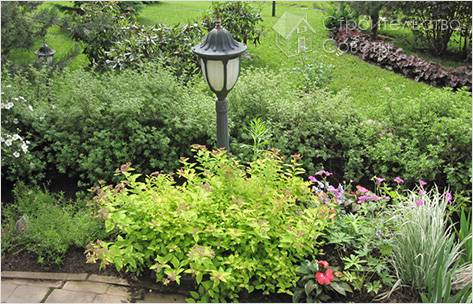 Озеленение